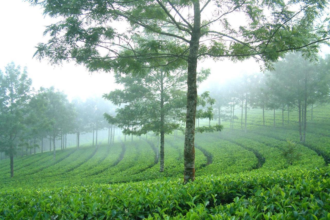 Mistica Munnar Daire Anachal Dış mekan fotoğraf