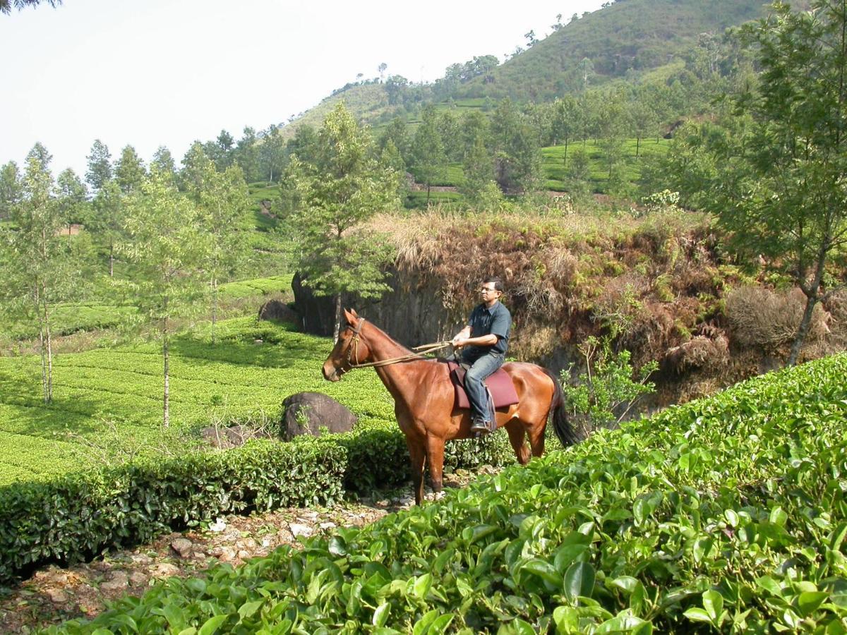 Mistica Munnar Daire Anachal Dış mekan fotoğraf