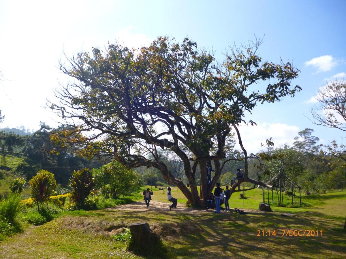 Mistica Munnar Daire Anachal Dış mekan fotoğraf