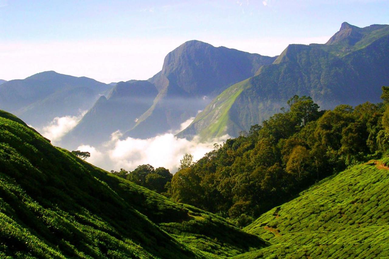 Mistica Munnar Daire Anachal Dış mekan fotoğraf