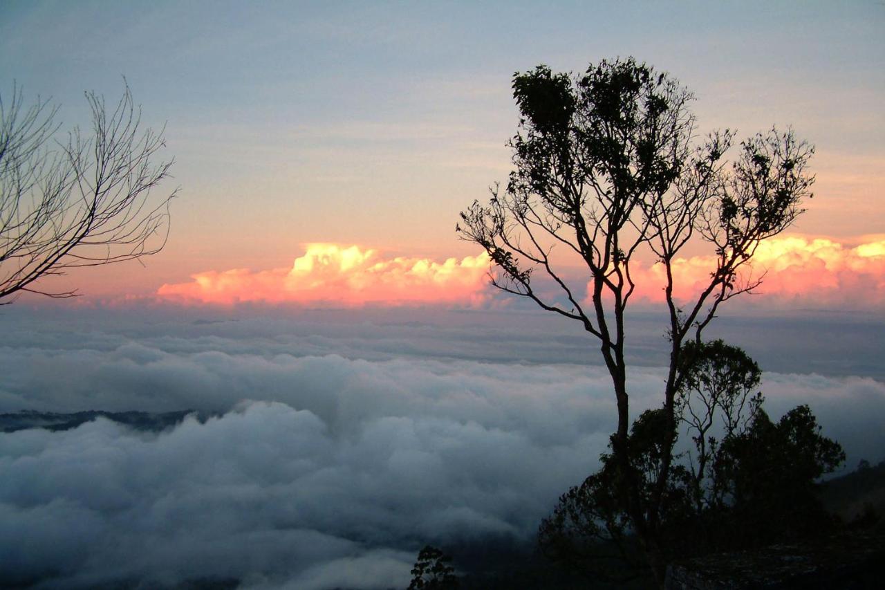 Mistica Munnar Daire Anachal Dış mekan fotoğraf