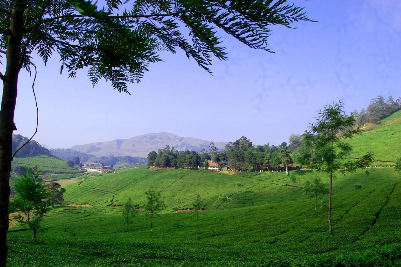 Mistica Munnar Daire Anachal Dış mekan fotoğraf