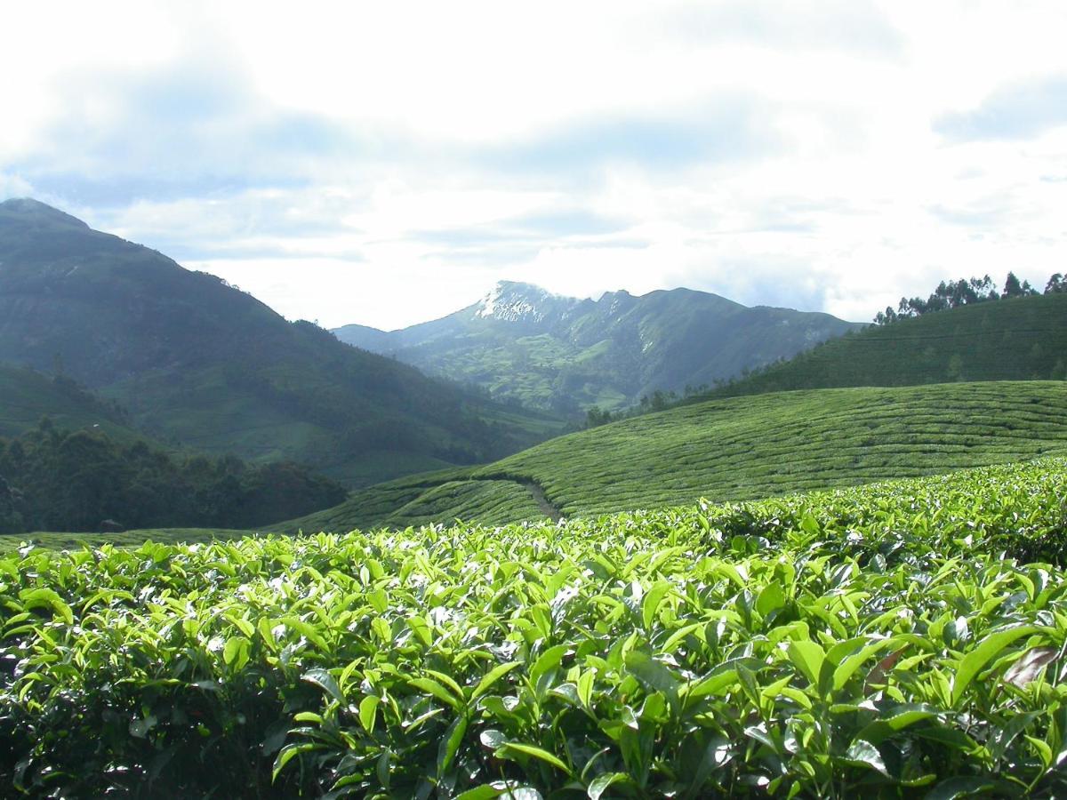 Mistica Munnar Daire Anachal Dış mekan fotoğraf