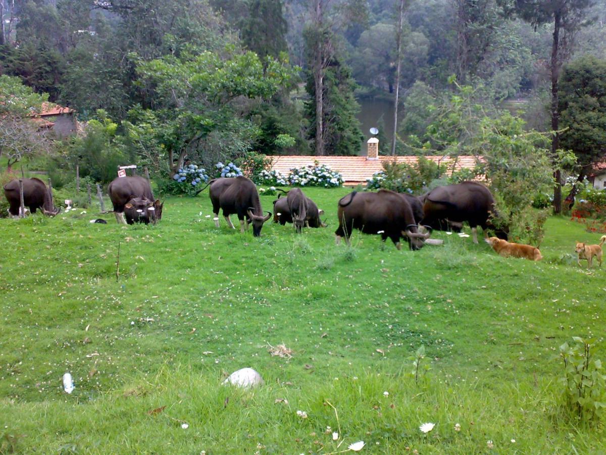 Mistica Munnar Daire Anachal Dış mekan fotoğraf