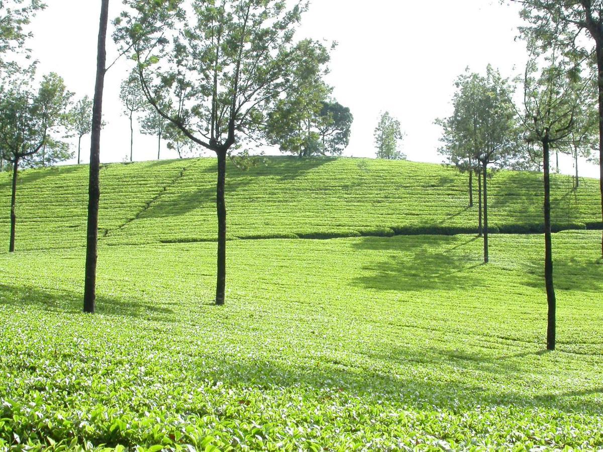 Mistica Munnar Daire Anachal Dış mekan fotoğraf