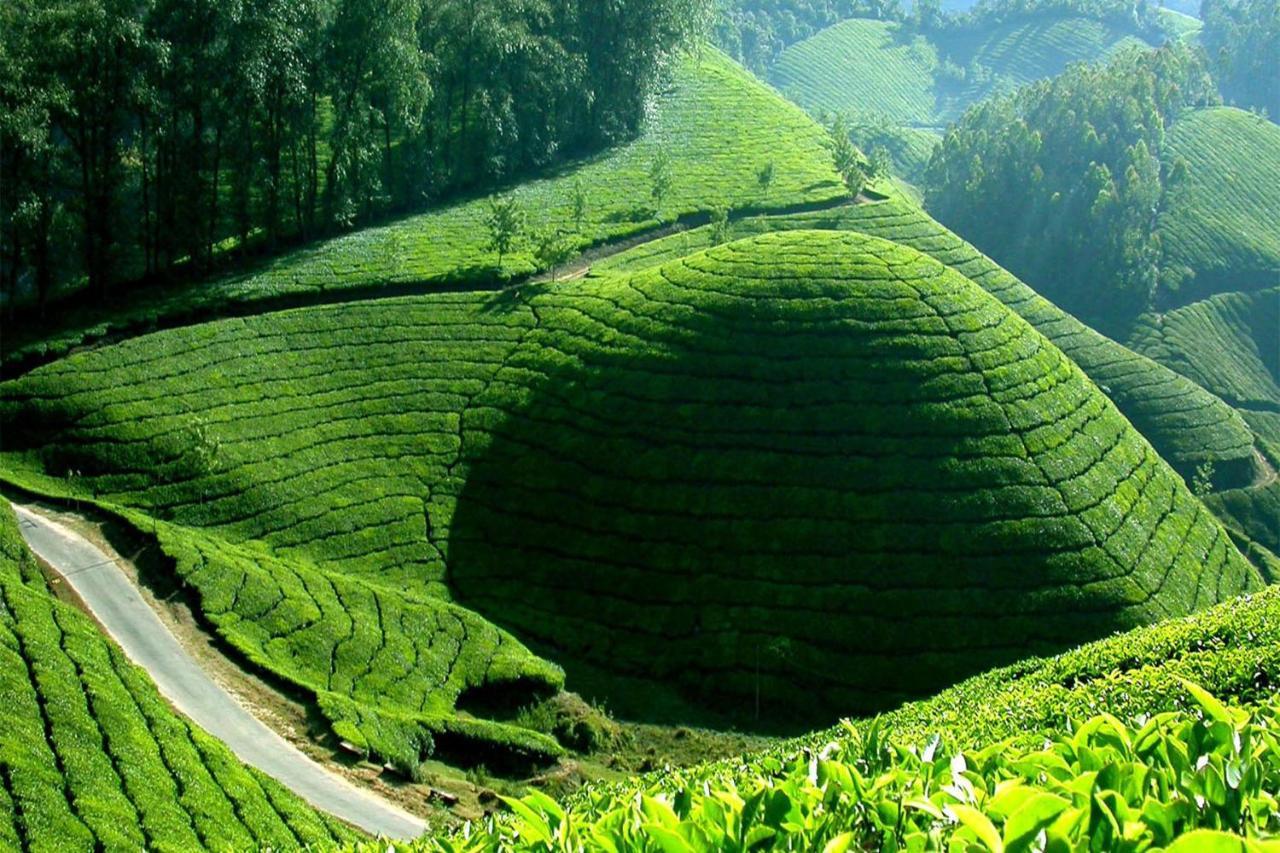 Mistica Munnar Daire Anachal Dış mekan fotoğraf