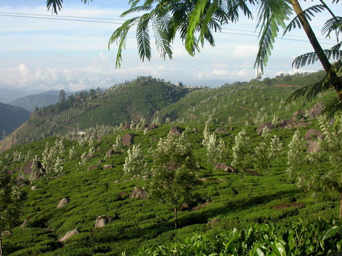 Mistica Munnar Daire Anachal Dış mekan fotoğraf