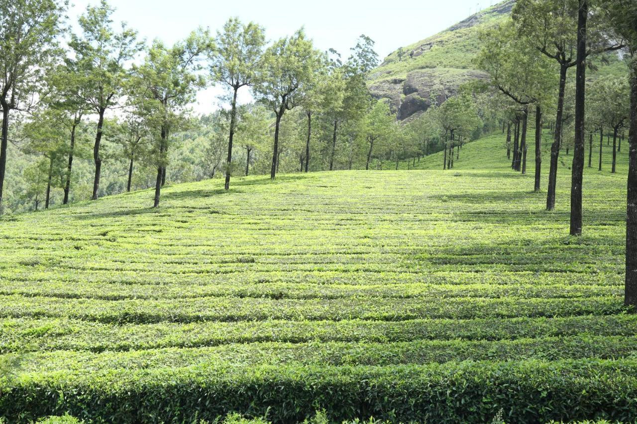 Mistica Munnar Daire Anachal Dış mekan fotoğraf