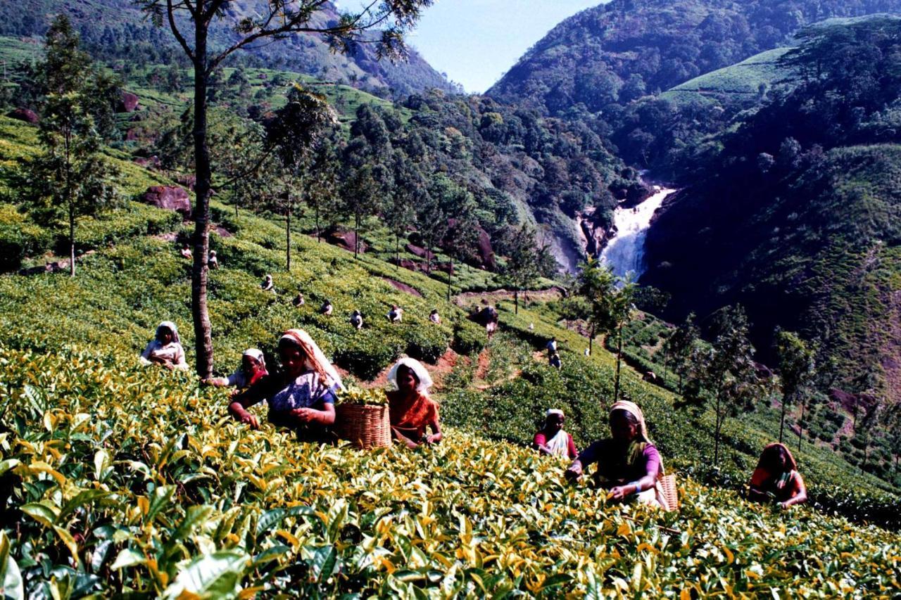 Mistica Munnar Daire Anachal Dış mekan fotoğraf